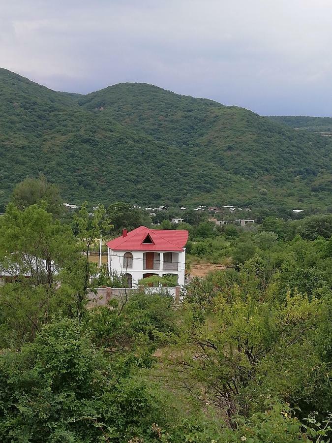Villa "Zepuri" Dushet'i Exterior foto